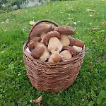 Pensjonat Uhliska