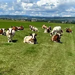 Uhliska *