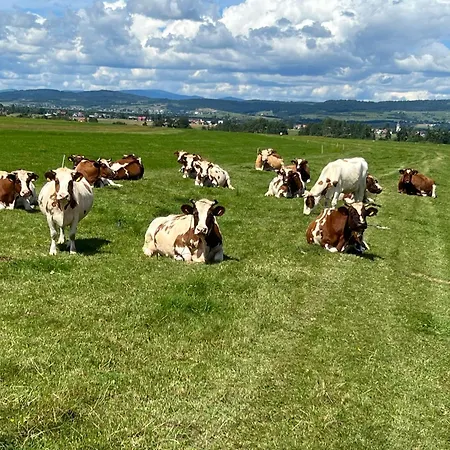 Uhliská *