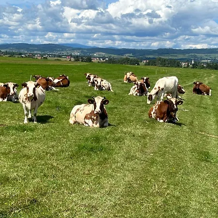 Uhliska *